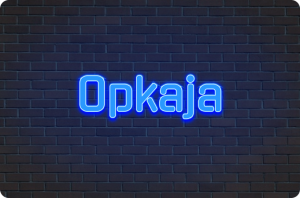 Read more about the article opkaja